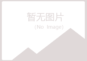 白银平川雅山快递有限公司